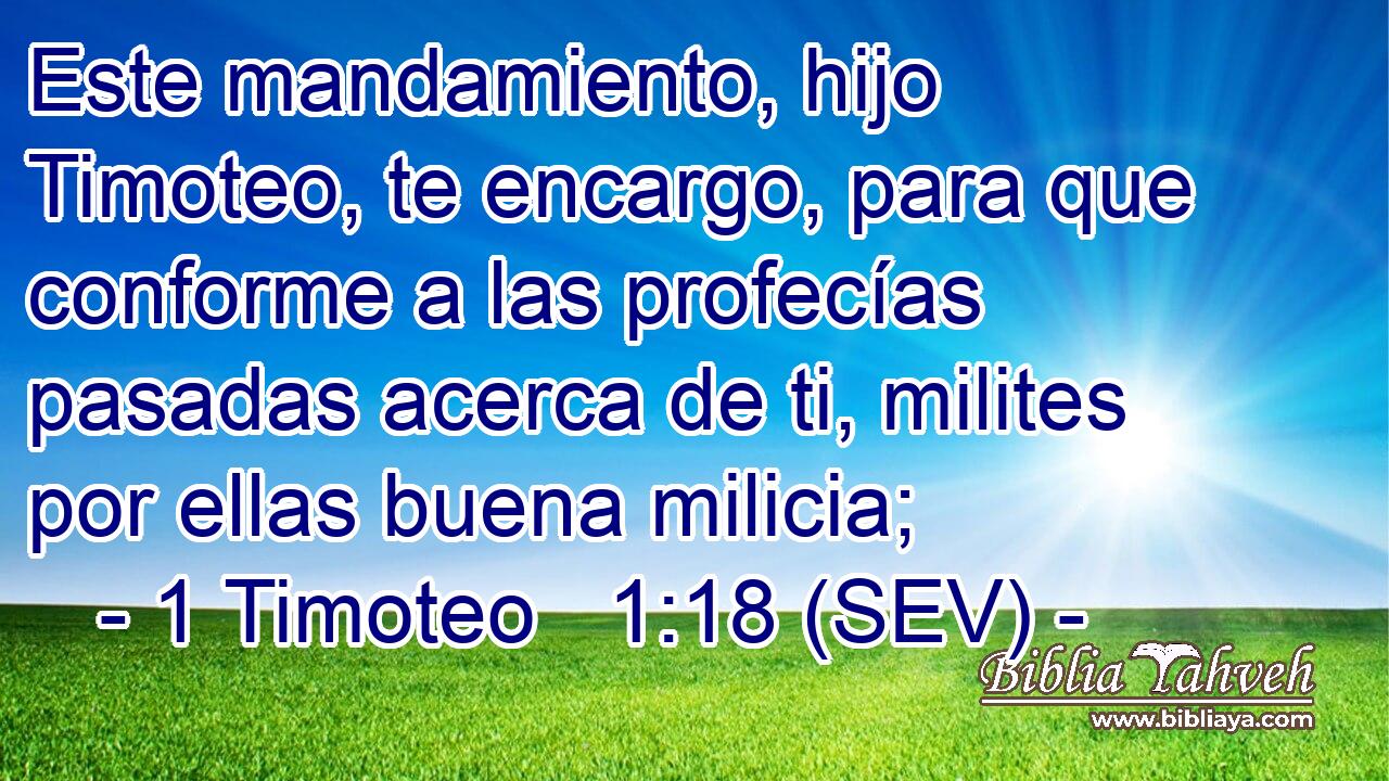 Este mandamiento, hijo Timoteo, te encargo, para que conforme a las profecías pasadas acerca de ti, milites por ellas buena milicia;