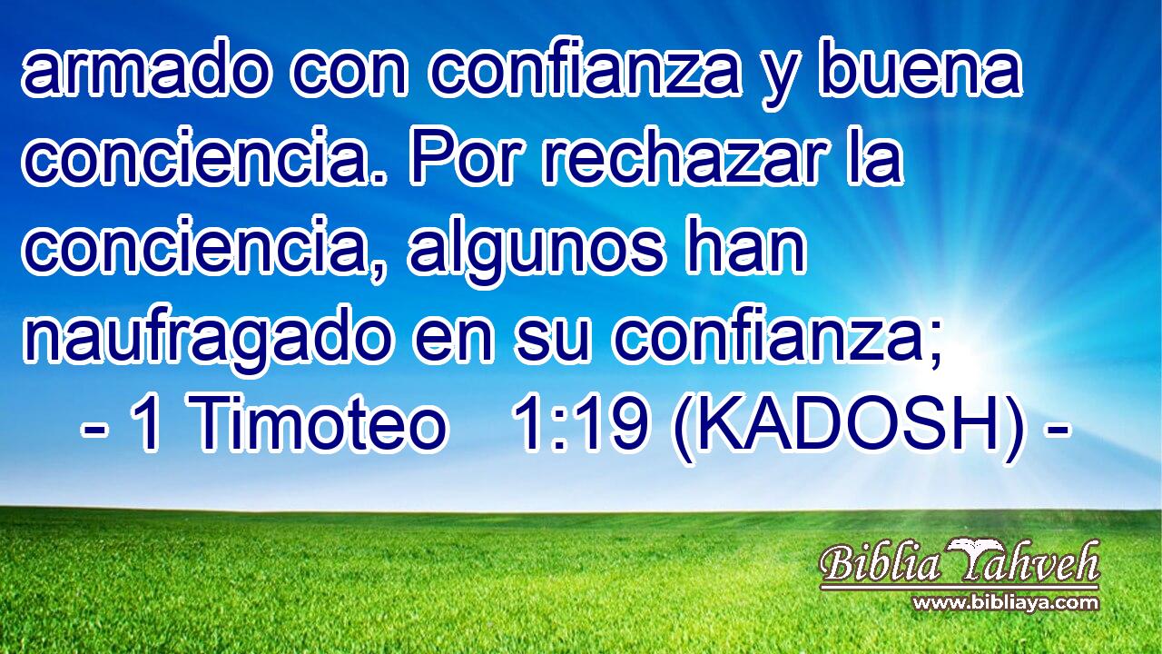  armado con confianza y buena conciencia. Por rechazar la conciencia, algunos han naufragado en su confianza; 