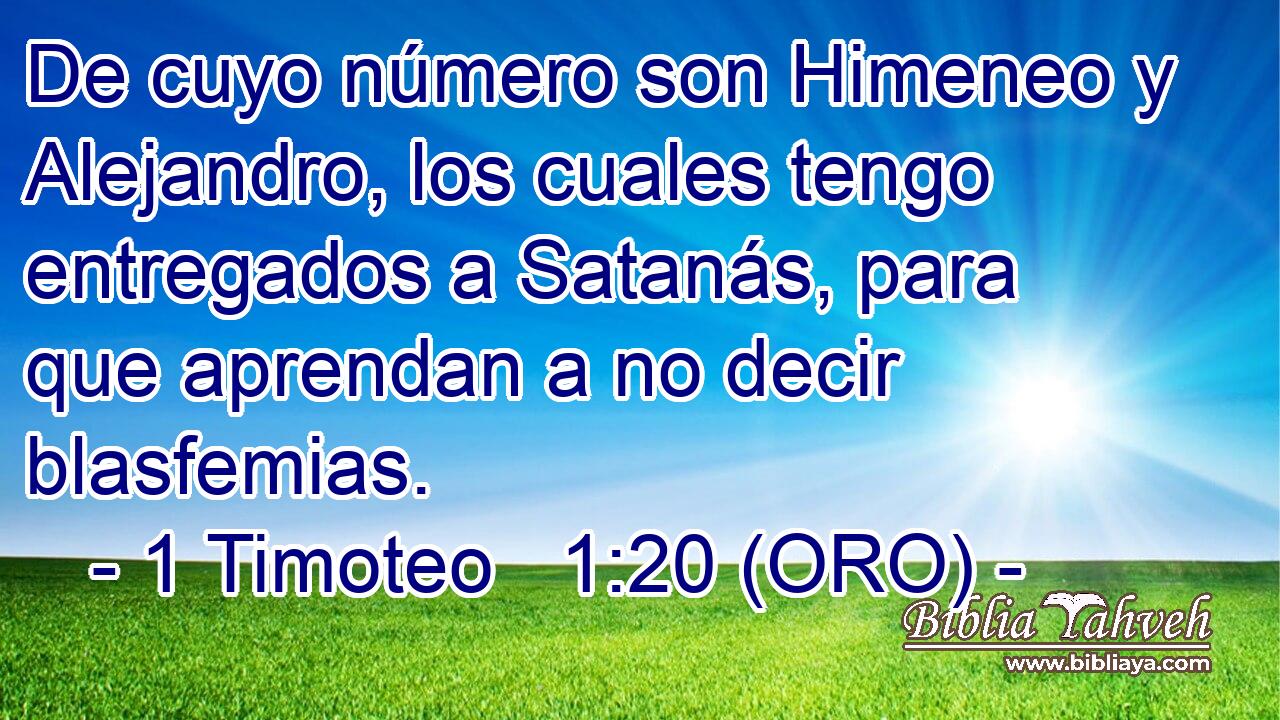  De cuyo número son Himeneo y Alejandro, los cuales tengo entregados a Satanás, para que aprendan a no decir blasfemias. 
