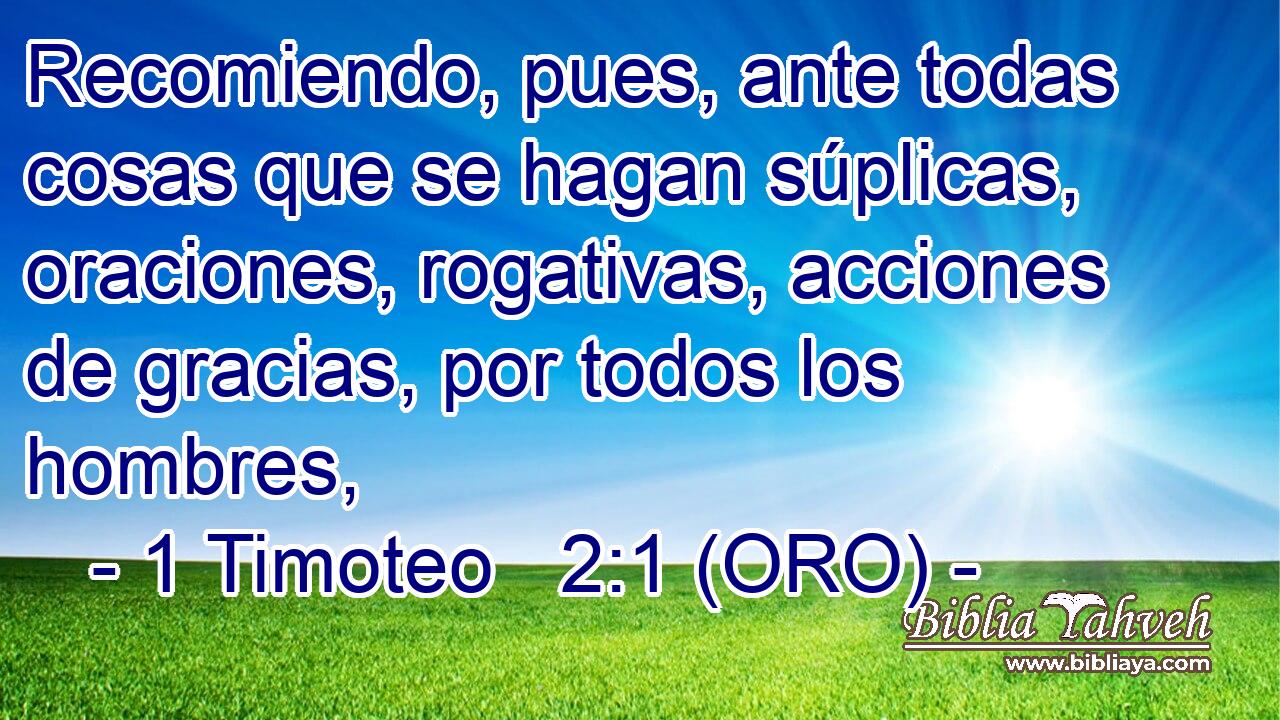  Recomiendo, pues, ante todas cosas que se hagan súplicas, oraciones, rogativas, acciones de gracias, por todos los hombres, 