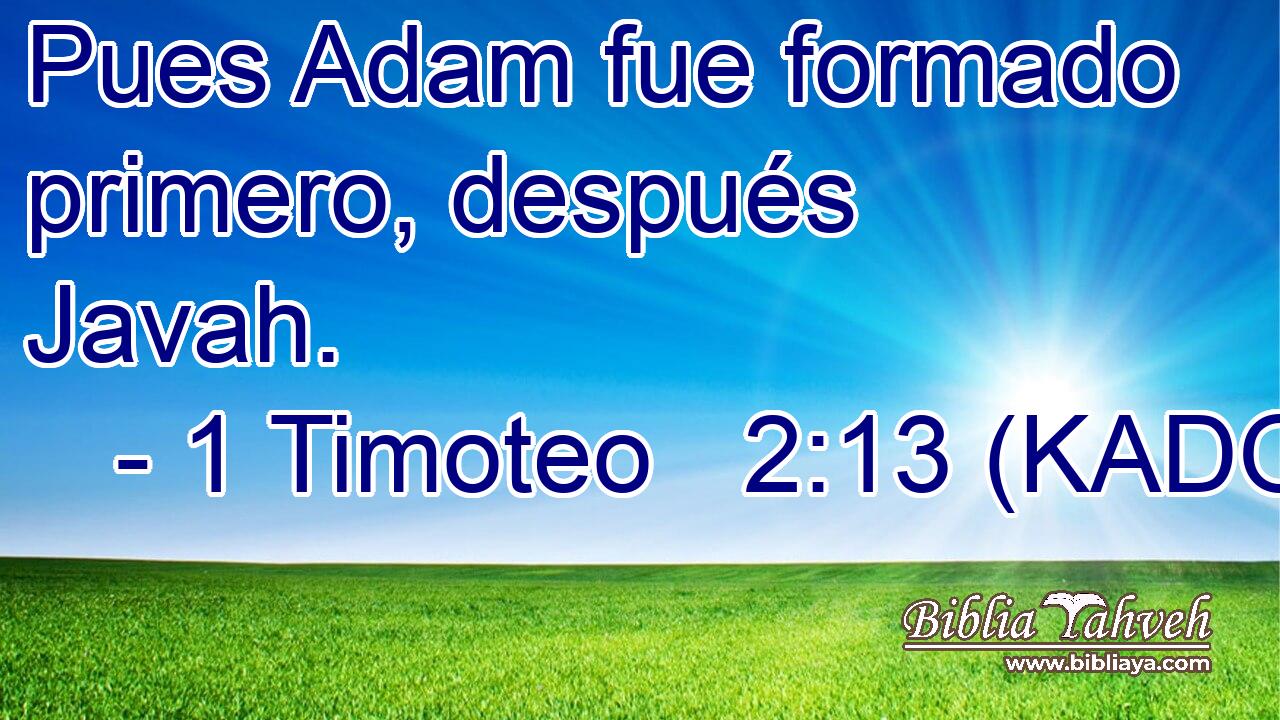 Pues Adam fue formado primero, después Javah. 