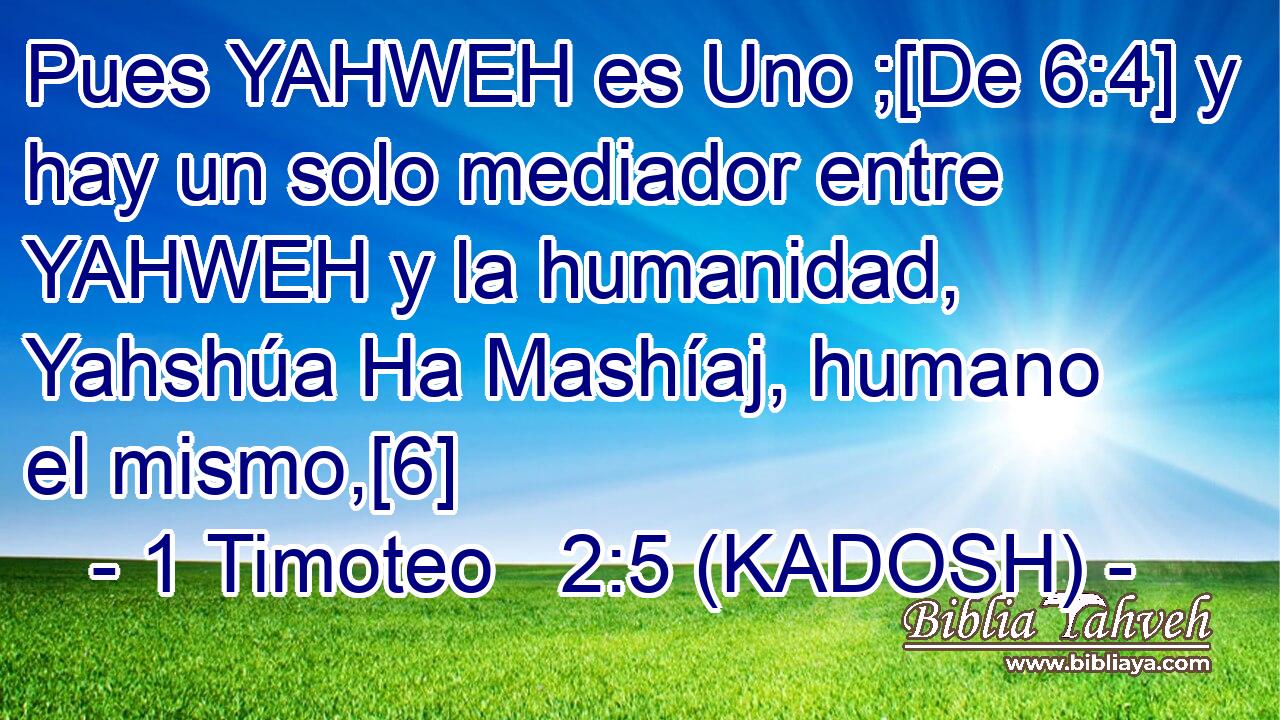  Pues YAHWEH es Uno ;[De 6:4] y hay un solo mediador entre YAHWEH y la humanidad, Yahshúa Ha Mashíaj, humano el mismo,[6] 