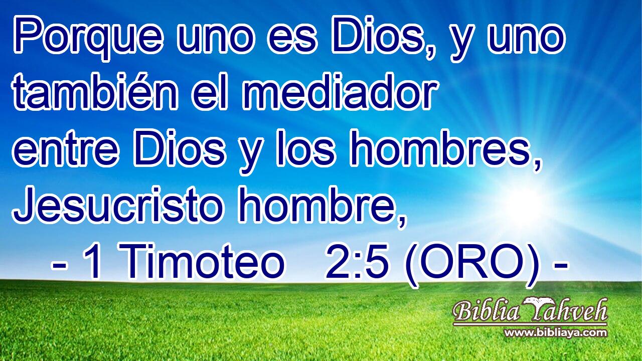  Porque uno es Dios, y uno también el mediador entre Dios y los hombres, Jesucristo hombre, 