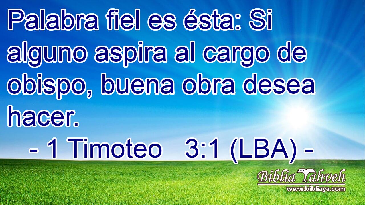 Palabra fiel es ésta: Si alguno aspira al cargo de obispo, buena obra desea hacer.