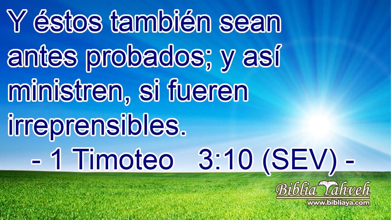 Y éstos también sean antes probados; y así ministren, si fueren irreprensibles.