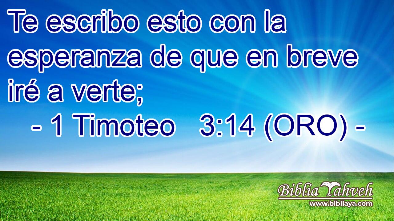  Te escribo esto con la esperanza de que en breve iré a verte; 