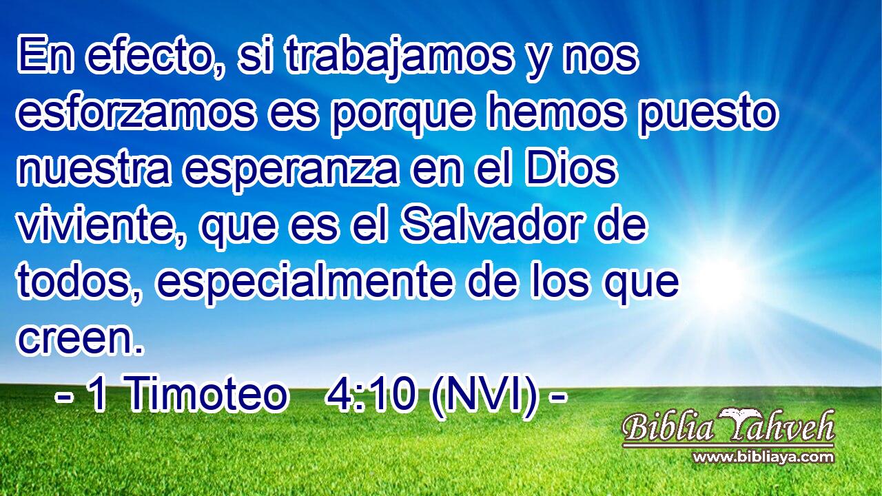  En efecto, si trabajamos y nos esforzamos es porque hemos puesto nuestra esperanza en el Dios viviente, que es el Salvador de todos, especialmente de los que creen. 