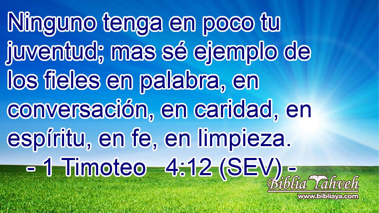 Ninguno tenga en poco tu juventud; mas sé ejemplo de los fieles en palabra, en conversación, en caridad, en espíritu, en fe, en limpieza.