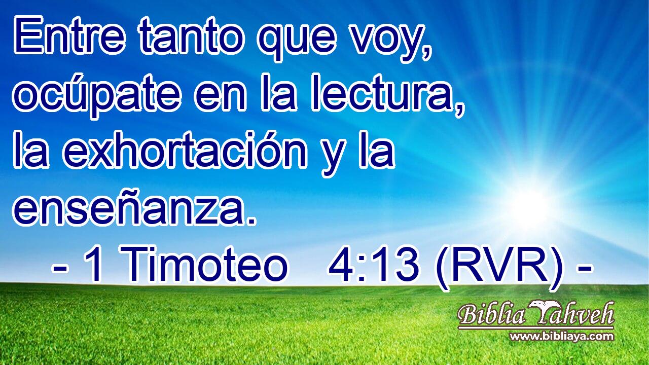 Entre tanto que voy, ocúpate en la lectura, la exhortación y la enseñanza.