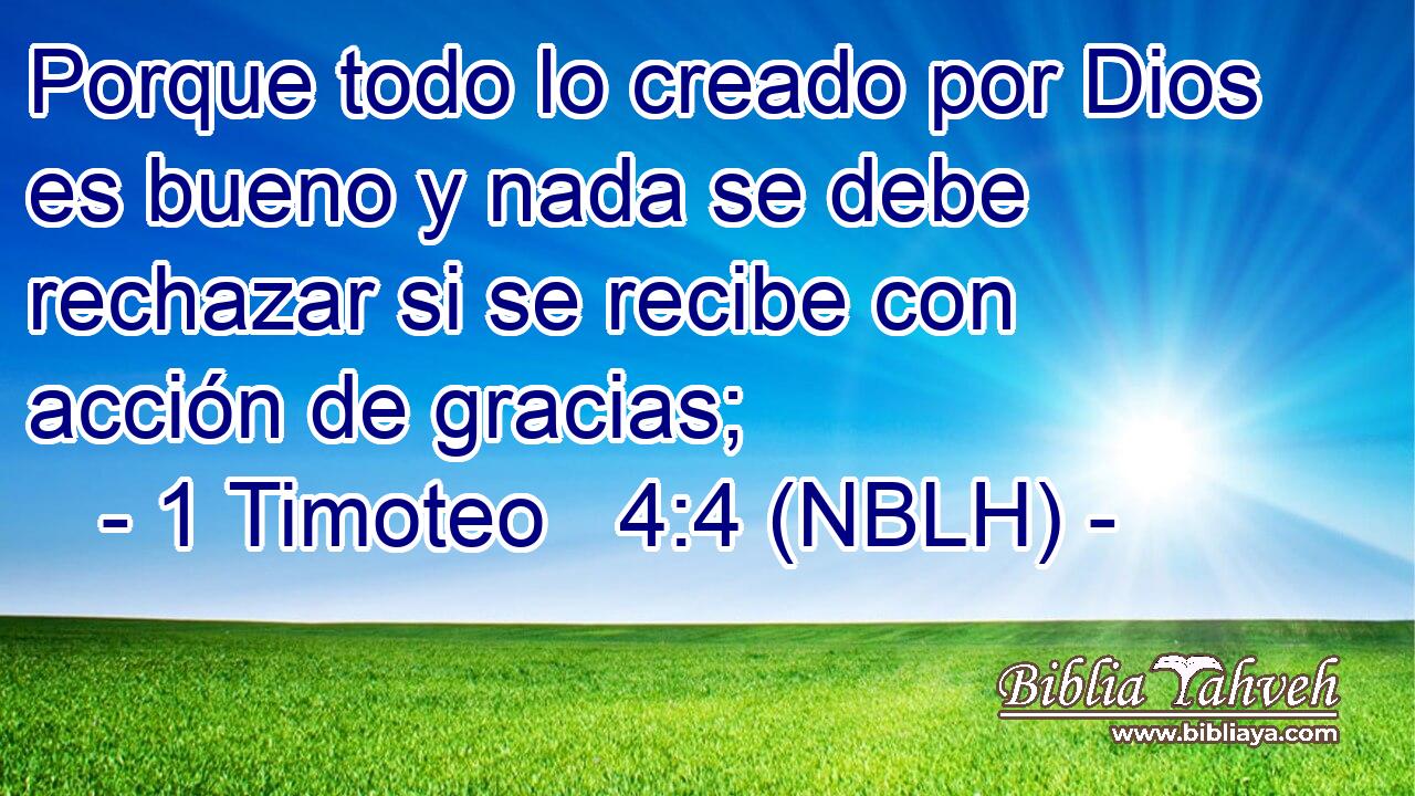 Porque todo lo creado por Dios es bueno y nada se debe rechazar si se recibe con acción de gracias; 