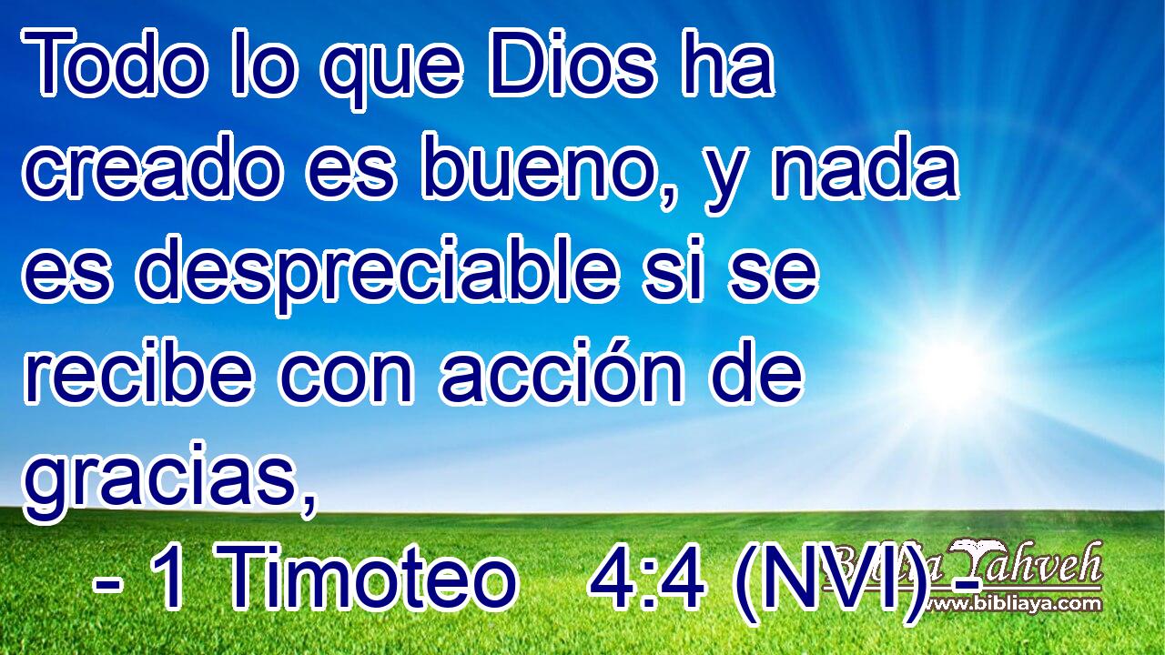  Todo lo que Dios ha creado es bueno, y nada es despreciable si se recibe con acción de gracias, 