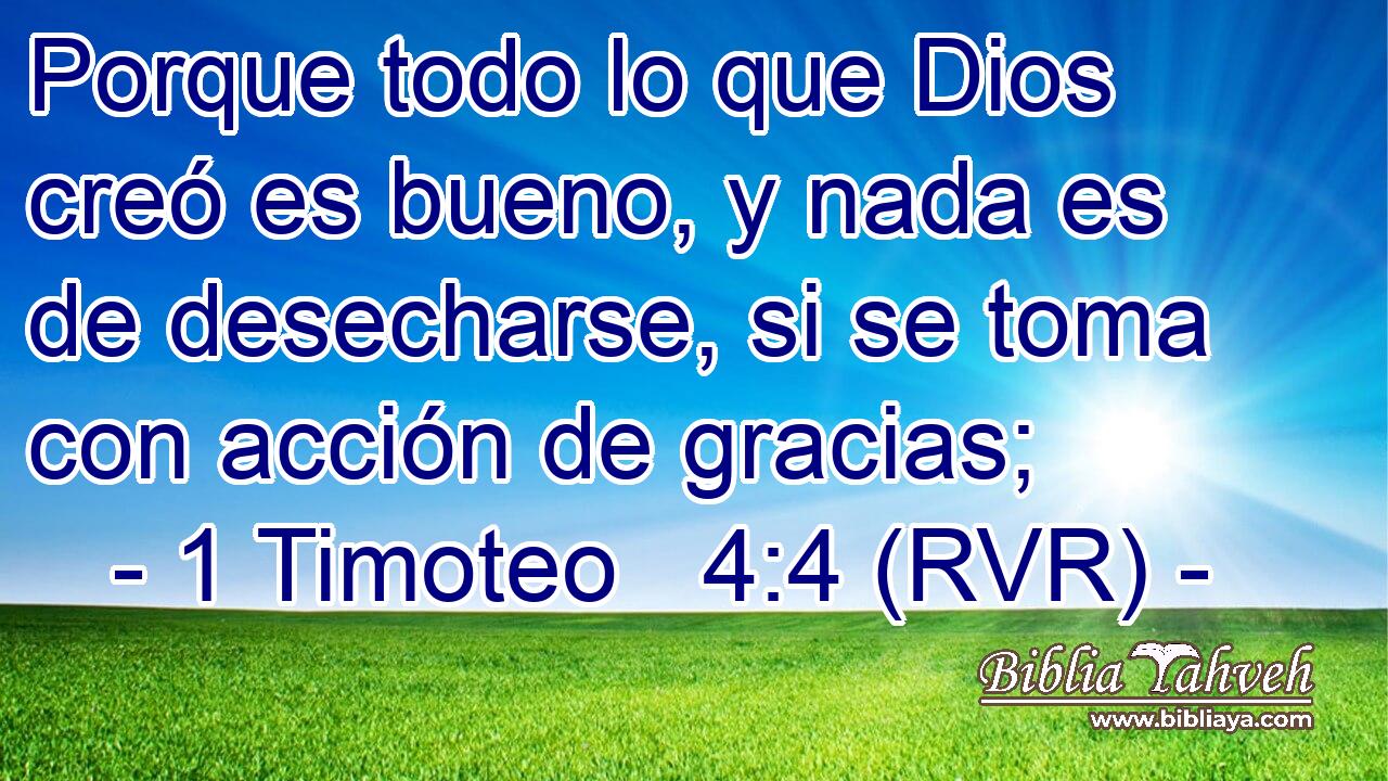 Porque todo lo que Dios creó es bueno, y nada es de desecharse, si se toma con acción de gracias;