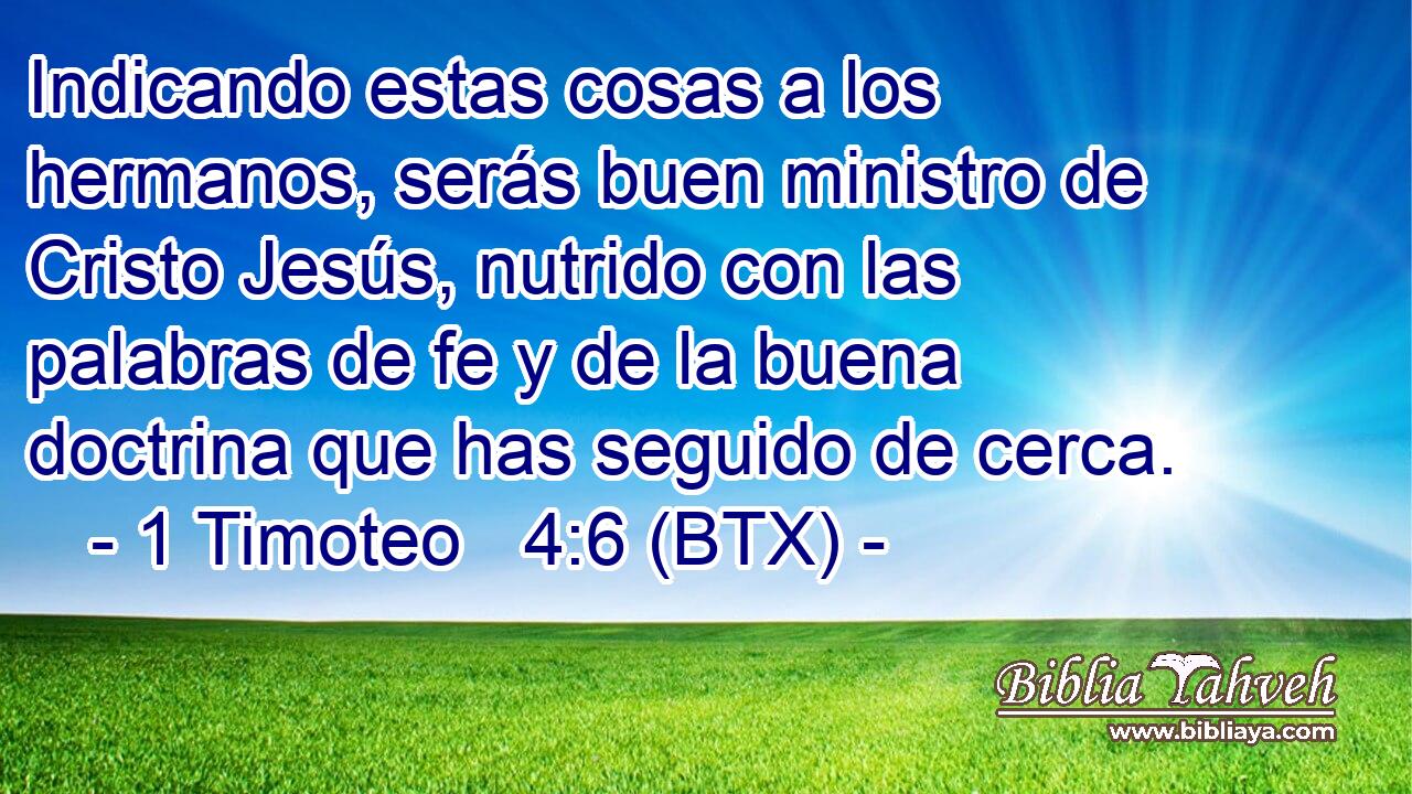 Indicando estas cosas a los hermanos, serás buen ministro de Cristo Jesús, nutrido con las palabras de fe y de la buena doctrina que has seguido de cerca.