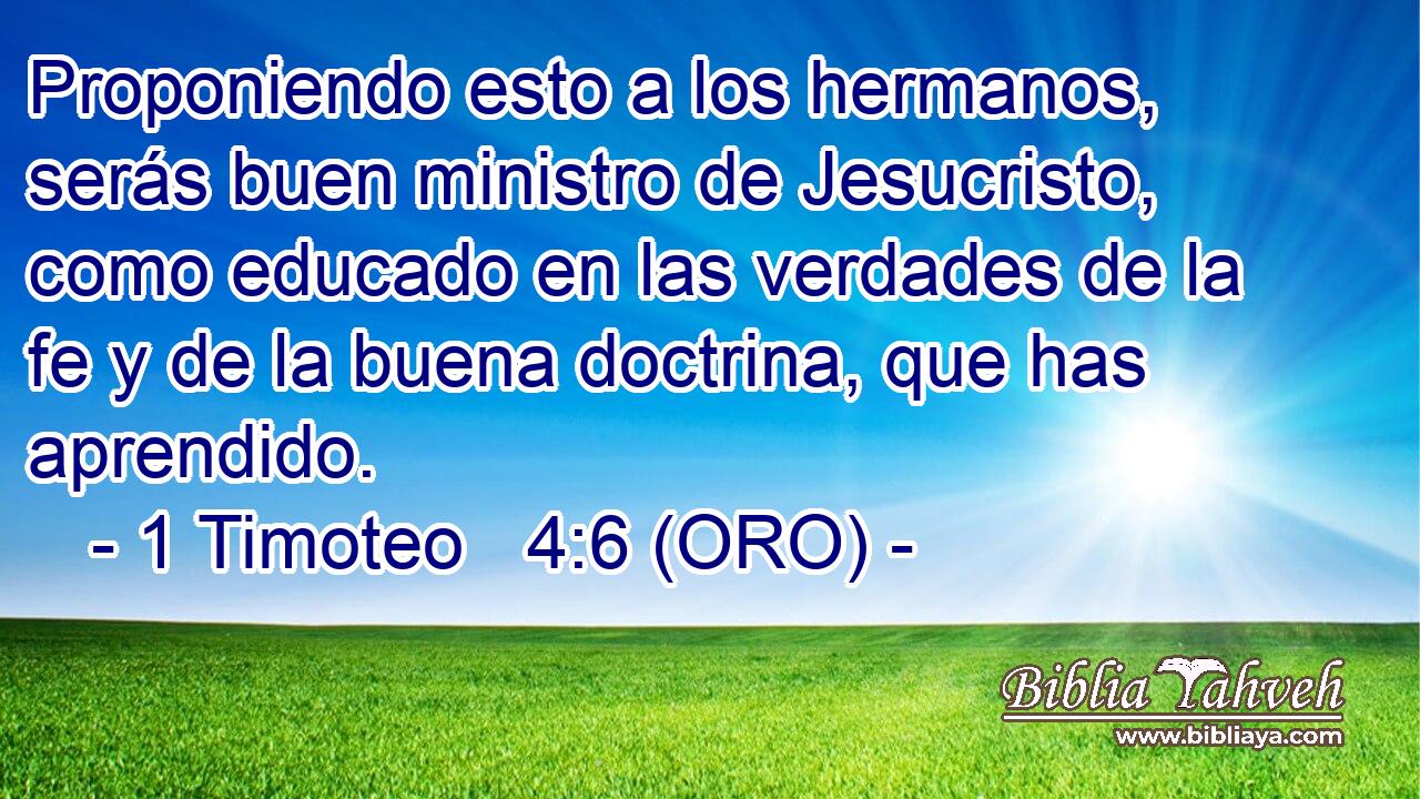  Proponiendo esto a los hermanos, serás buen ministro de Jesucristo, como educado en las verdades de la fe y de la buena doctrina, que has aprendido. 