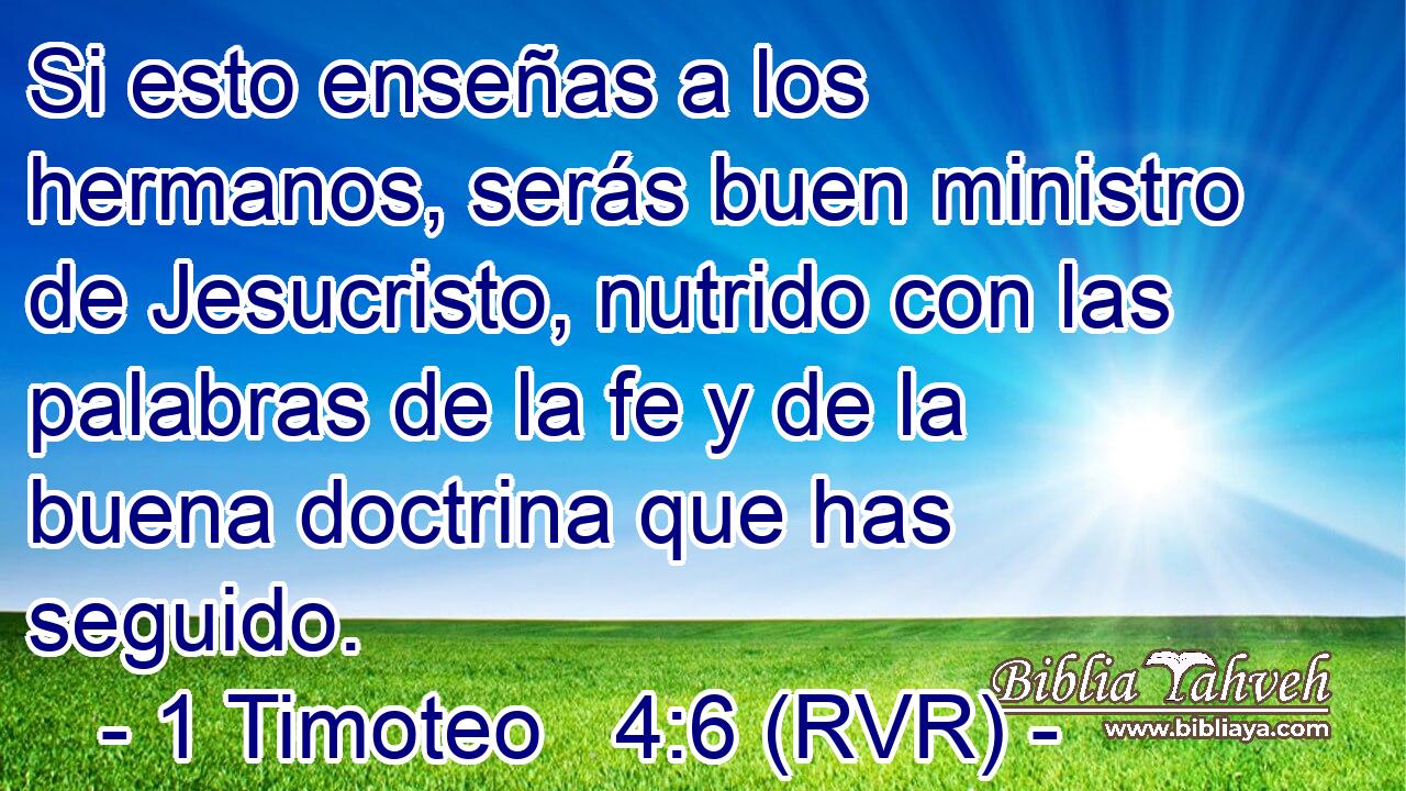 Si esto enseñas a los hermanos, serás buen ministro de Jesucristo, nutrido con las palabras de la fe y de la buena doctrina que has seguido.