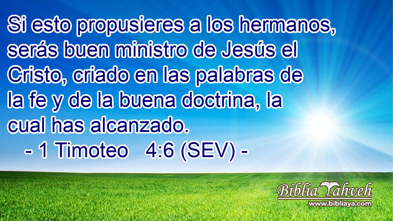 Si esto propusieres a los hermanos, serás buen ministro de Jesús el Cristo, criado en las palabras de la fe y de la buena doctrina, la cual has alcanzado.