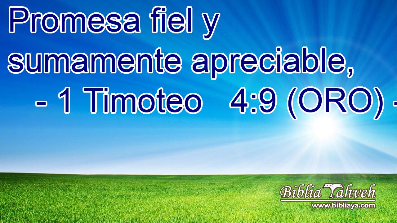  Promesa fiel y sumamente apreciable, 