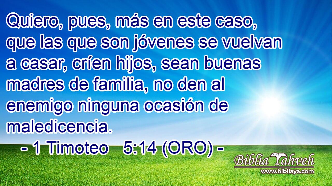  Quiero, pues, más en este caso, que las que son jóvenes se vuelvan a casar, críen hijos, sean buenas madres de familia, no den al enemigo ninguna ocasión de maledicencia. 