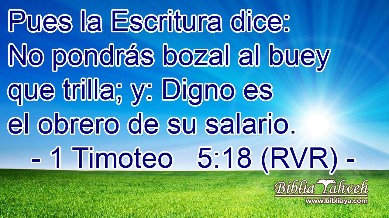 Pues la Escritura dice: No pondrás bozal al buey que trilla; y: Digno es el obrero de su salario.