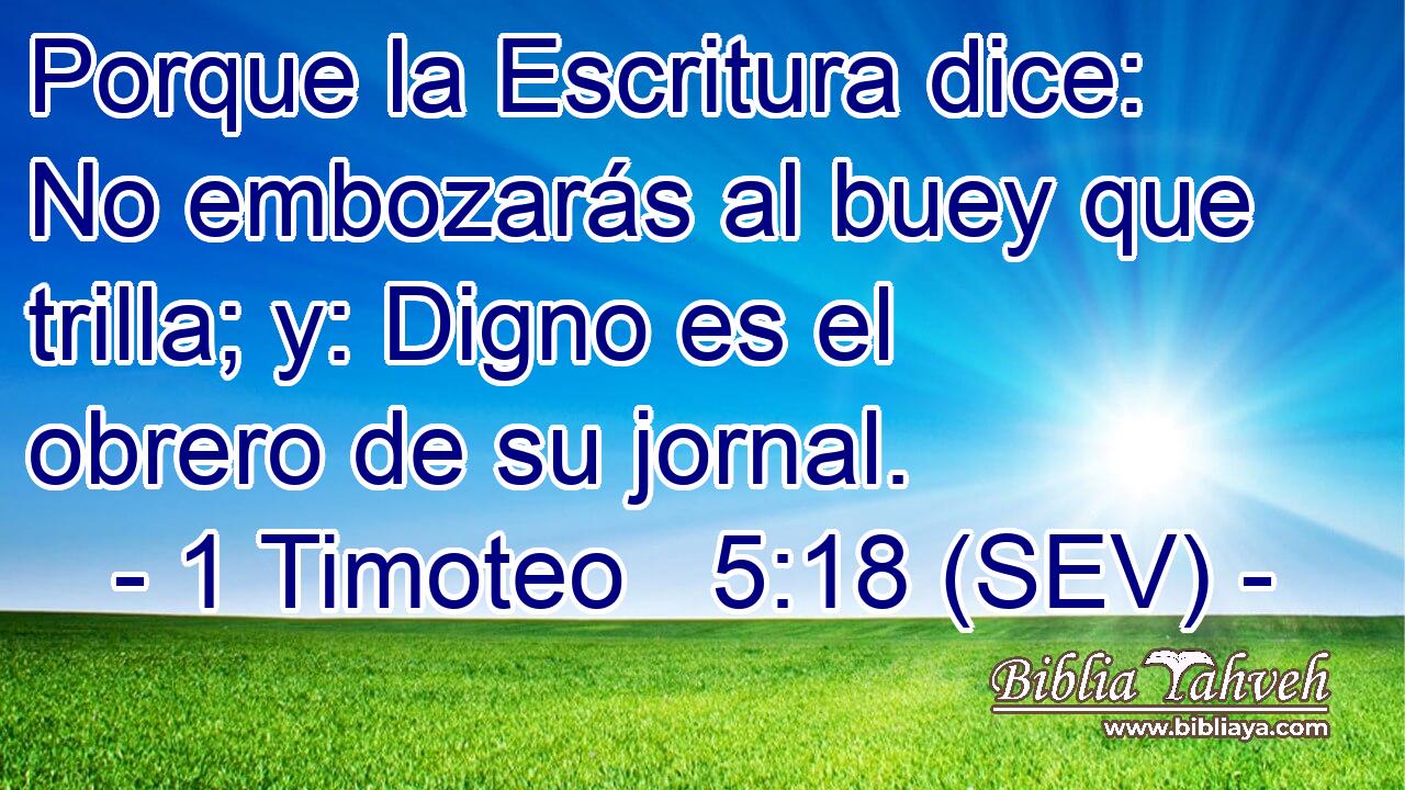 Porque la Escritura dice: No embozarás al buey que trilla; y: Digno es el obrero de su jornal.