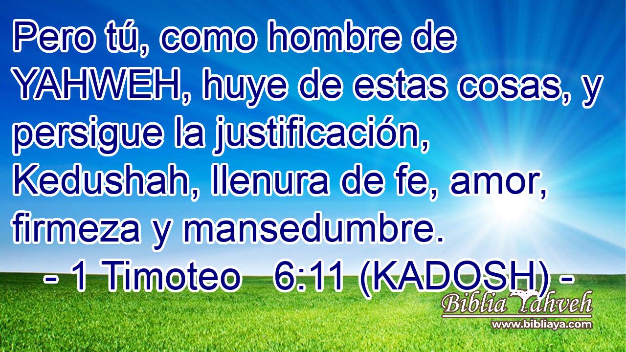  Pero tú, como hombre de YAHWEH, huye de estas cosas, y persigue la justificación, Kedushah, llenura de fe, amor, firmeza y mansedumbre. 