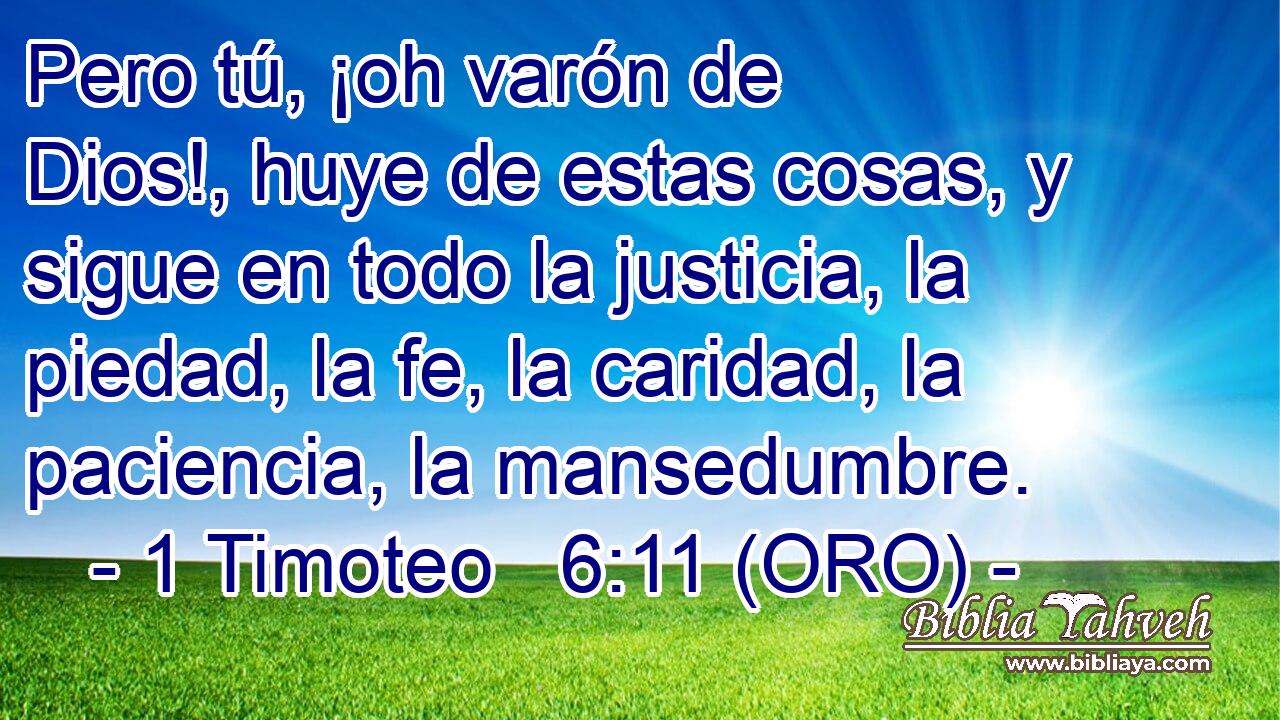  Pero tú, ¡oh varón de Dios!, huye de estas cosas, y sigue en todo la justicia, la piedad, la fe, la caridad, la paciencia, la mansedumbre. 