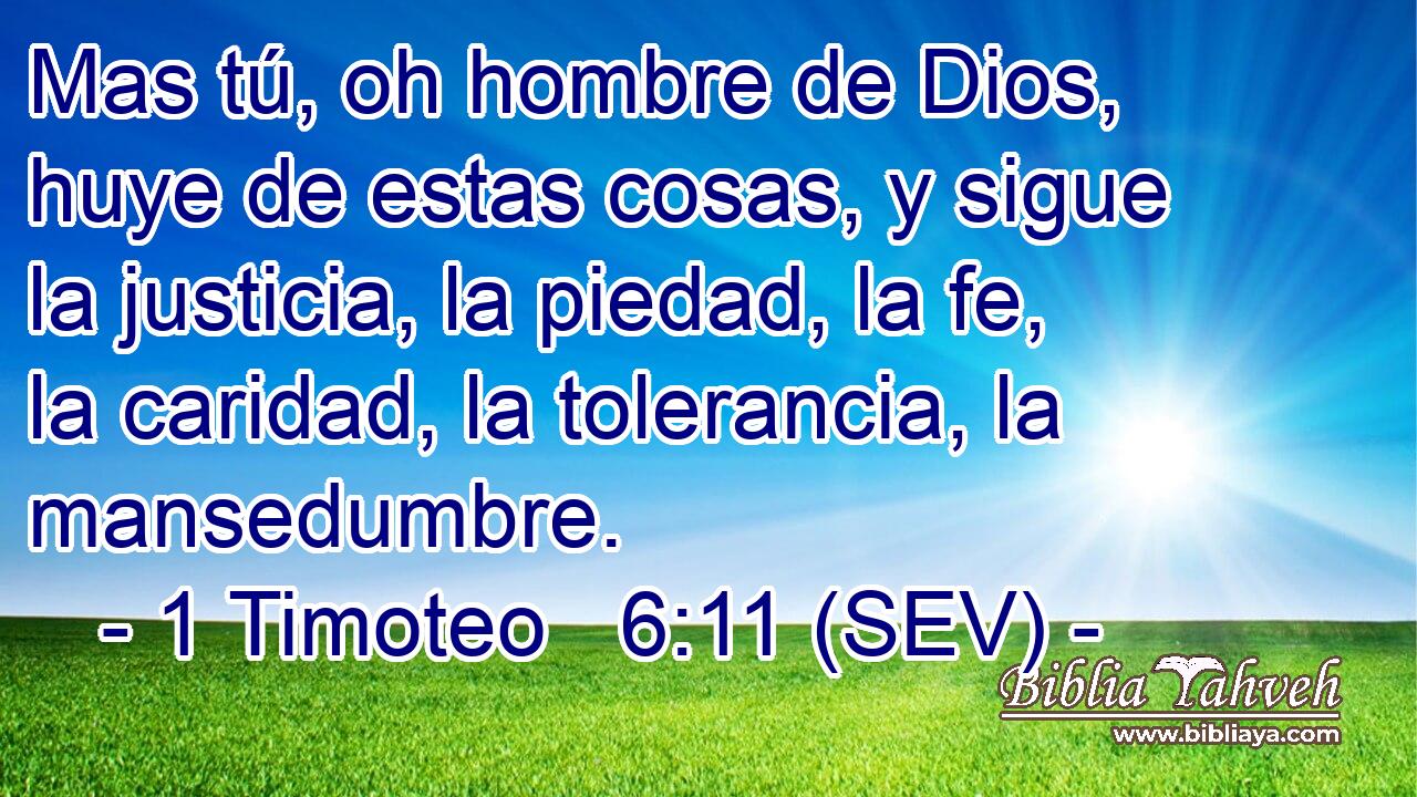 Mas tú, oh hombre de Dios, huye de estas cosas, y sigue la justicia, la piedad, la fe, la caridad, la tolerancia, la mansedumbre.