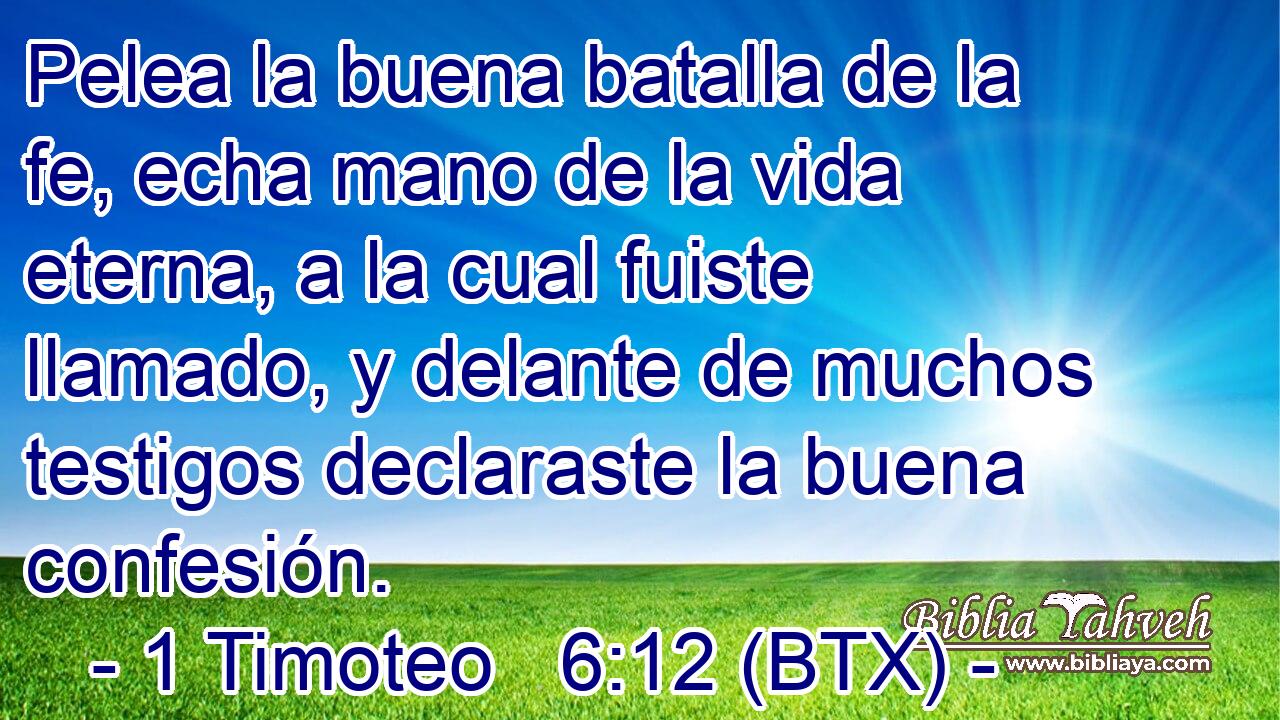 Pelea la buena batalla de la fe, echa mano de la vida eterna, a la cual fuiste llamado, y delante de muchos testigos declaraste la buena confesión.