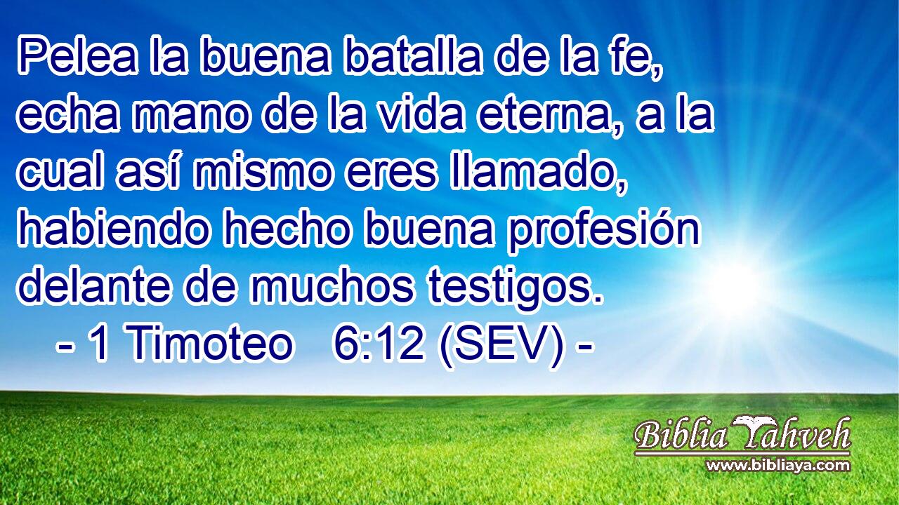 Pelea la buena batalla de la fe, echa mano de la vida eterna, a la cual así mismo eres llamado, habiendo hecho buena profesión delante de muchos testigos.