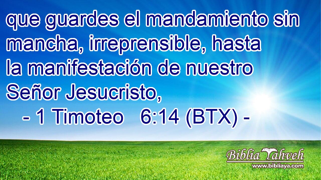 que guardes el mandamiento sin mancha, irreprensible, hasta la manifestación de nuestro Señor Jesucristo,