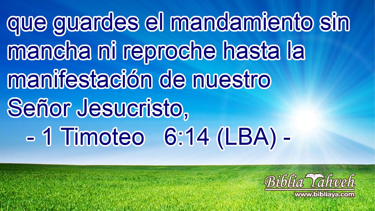 que guardes el mandamiento sin mancha ni reproche hasta la manifestación de nuestro Señor Jesucristo,