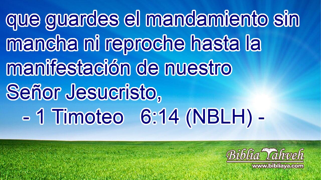  que guardes el mandamiento sin mancha ni reproche hasta la manifestación de nuestro Señor Jesucristo, 