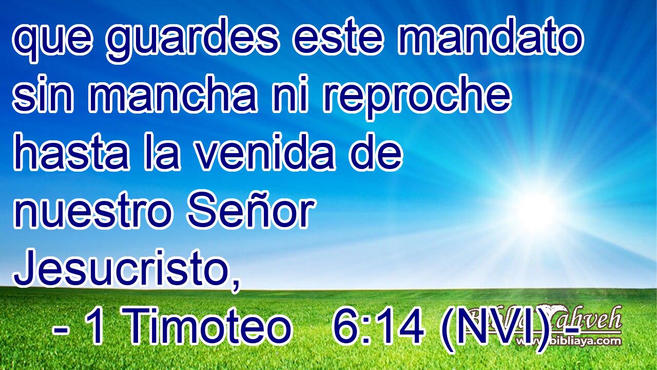 que guardes este mandato sin mancha ni reproche hasta la venida de nuestro Señor Jesucristo, 