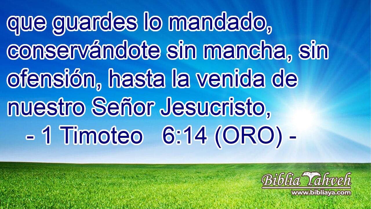  que guardes lo mandado, conservándote sin mancha, sin ofensión, hasta la venida de nuestro Señor Jesucristo, 