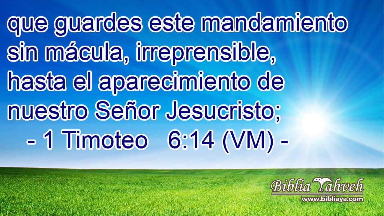  que guardes este mandamiento sin mácula, irreprensible, hasta el aparecimiento de nuestro Señor Jesucristo; 