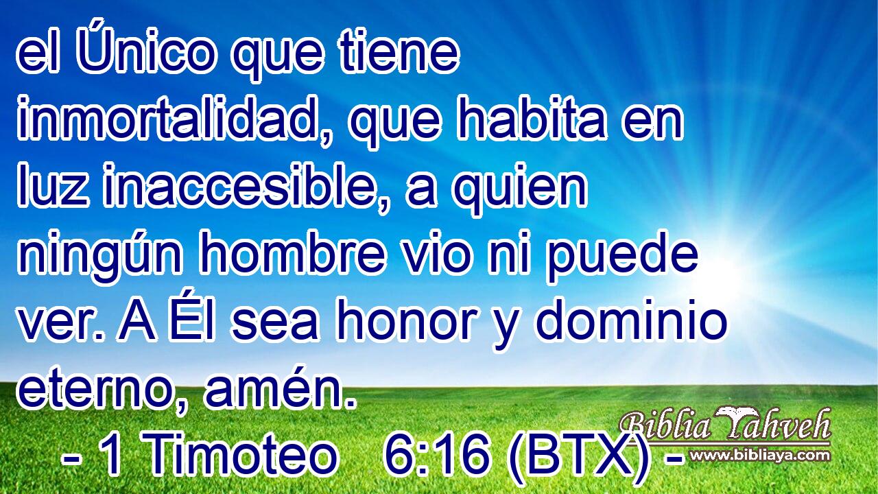 el Único que tiene inmortalidad, que habita en luz inaccesible, a quien ningún hombre vio ni puede ver. A Él sea honor y dominio eterno, amén.
