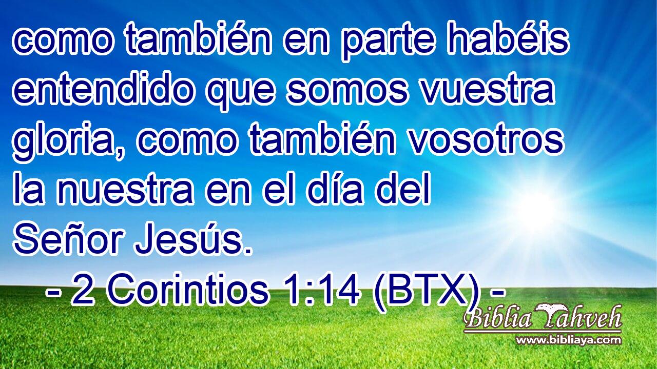 como también en parte habéis entendido que somos vuestra gloria, como también vosotros la nuestra en el día del Señor Jesús.