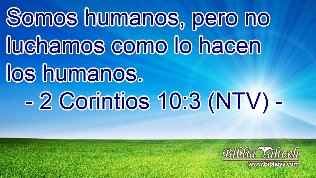 Somos humanos, pero no luchamos como lo hacen los humanos.