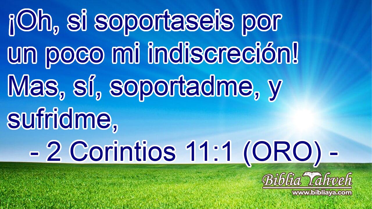  ¡Oh, si soportaseis por un poco mi indiscreción! Mas, sí, soportadme, y sufridme, 