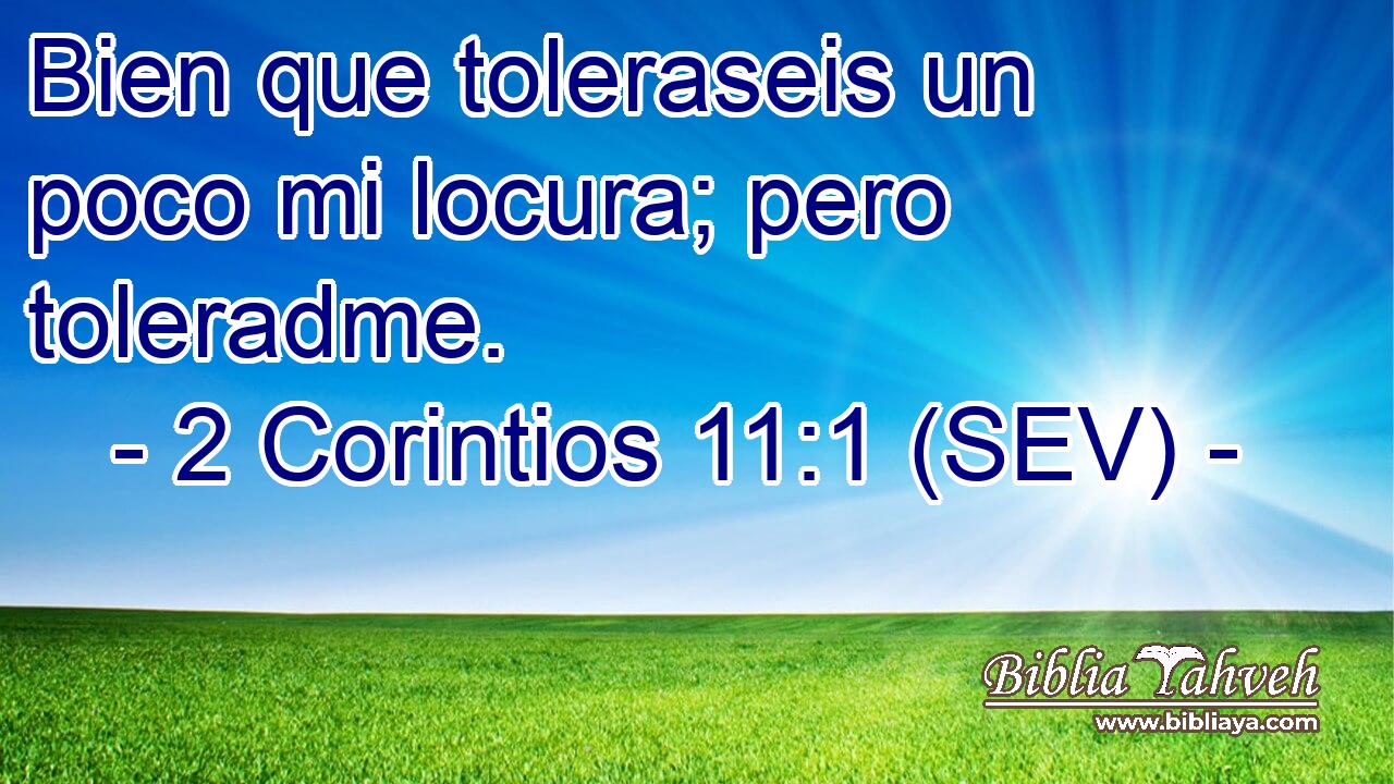 Bien que toleraseis un poco mi locura; pero toleradme.