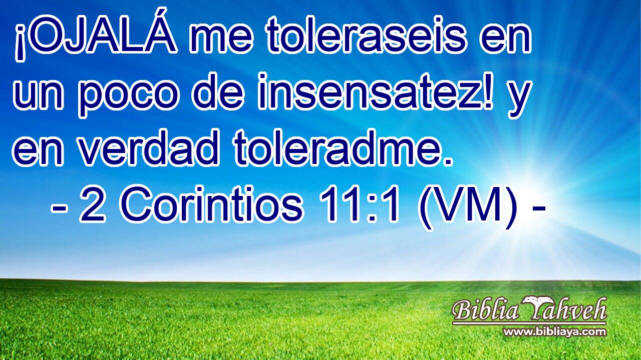  ¡OJALÁ me toleraseis en un poco de insensatez! y en verdad toleradme. 
