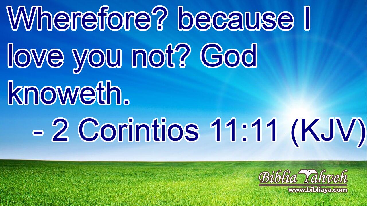 Wherefore? because I love you not? God knoweth.