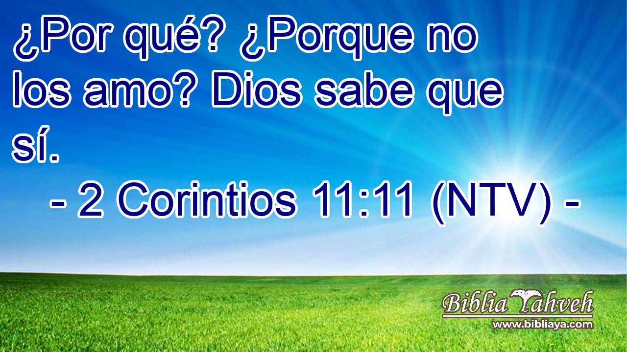 ¿Por qué? ¿Porque no los amo? Dios sabe que sí.