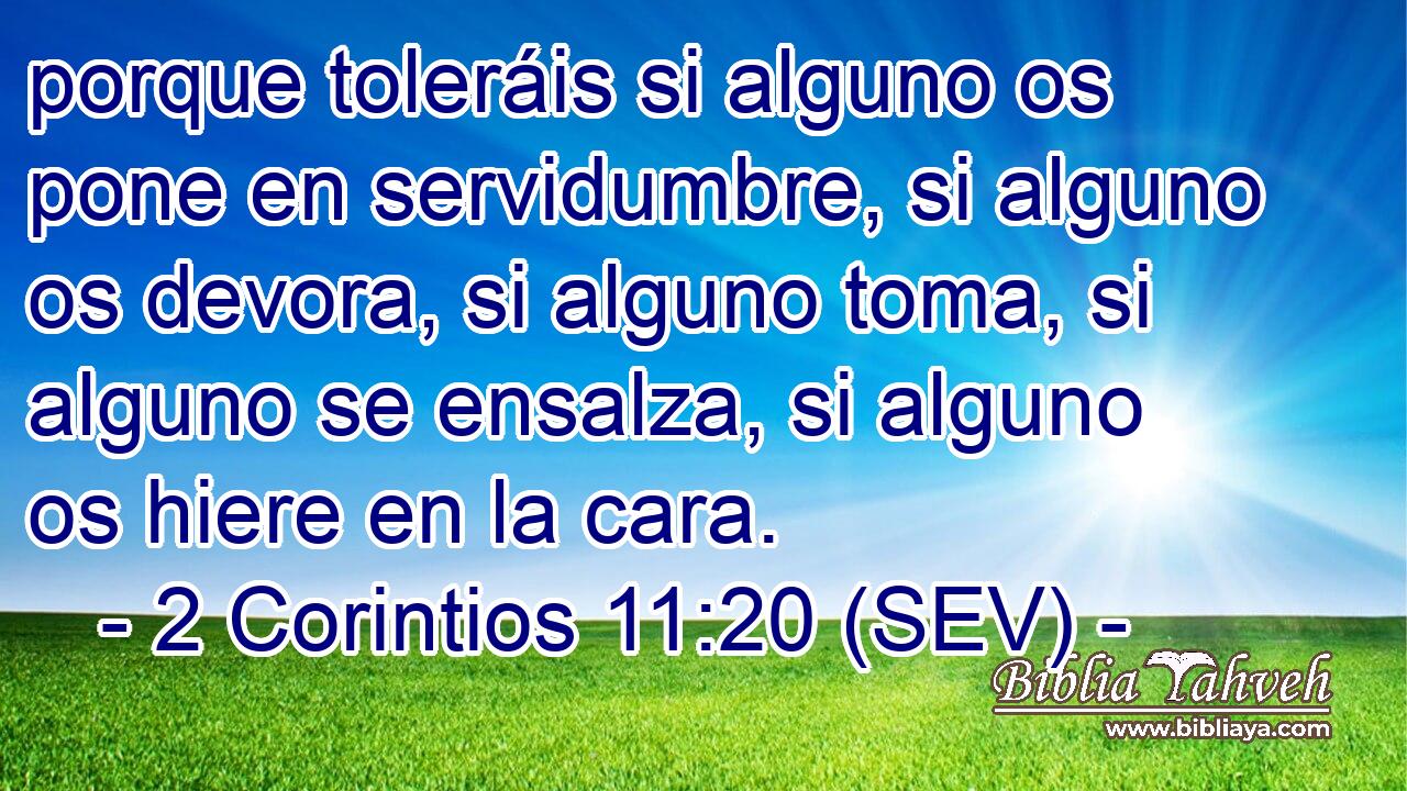 porque toleráis si alguno os pone en servidumbre, si alguno os devora, si alguno toma, si alguno se ensalza, si alguno os hiere en la cara.