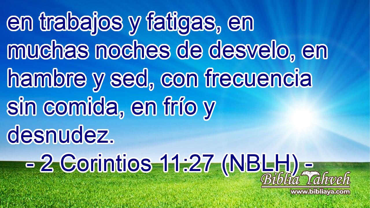  en trabajos y fatigas, en muchas noches de desvelo, en hambre y sed, con frecuencia sin comida, en frío y desnudez. 