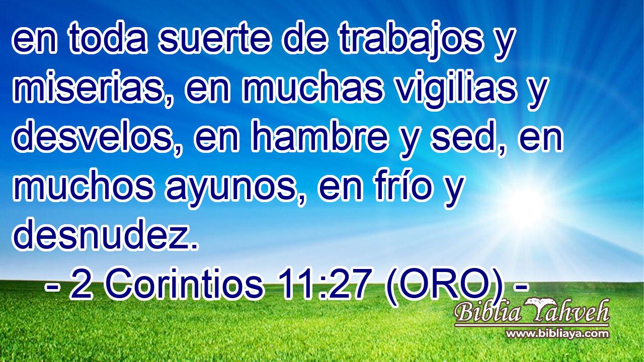 en toda suerte de trabajos y miserias, en muchas vigilias y desvelos, en hambre y sed, en muchos ayunos, en frío y desnudez. 