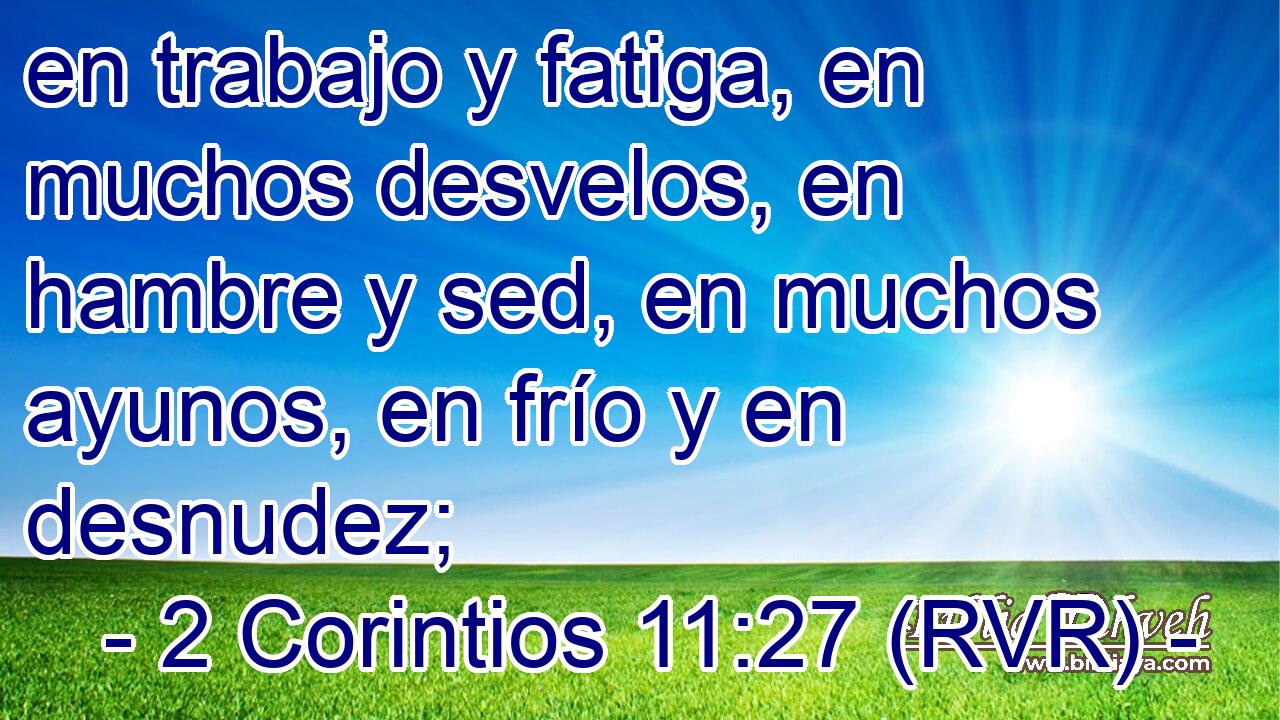 en trabajo y fatiga, en muchos desvelos, en hambre y sed, en muchos ayunos, en frío y en desnudez;
