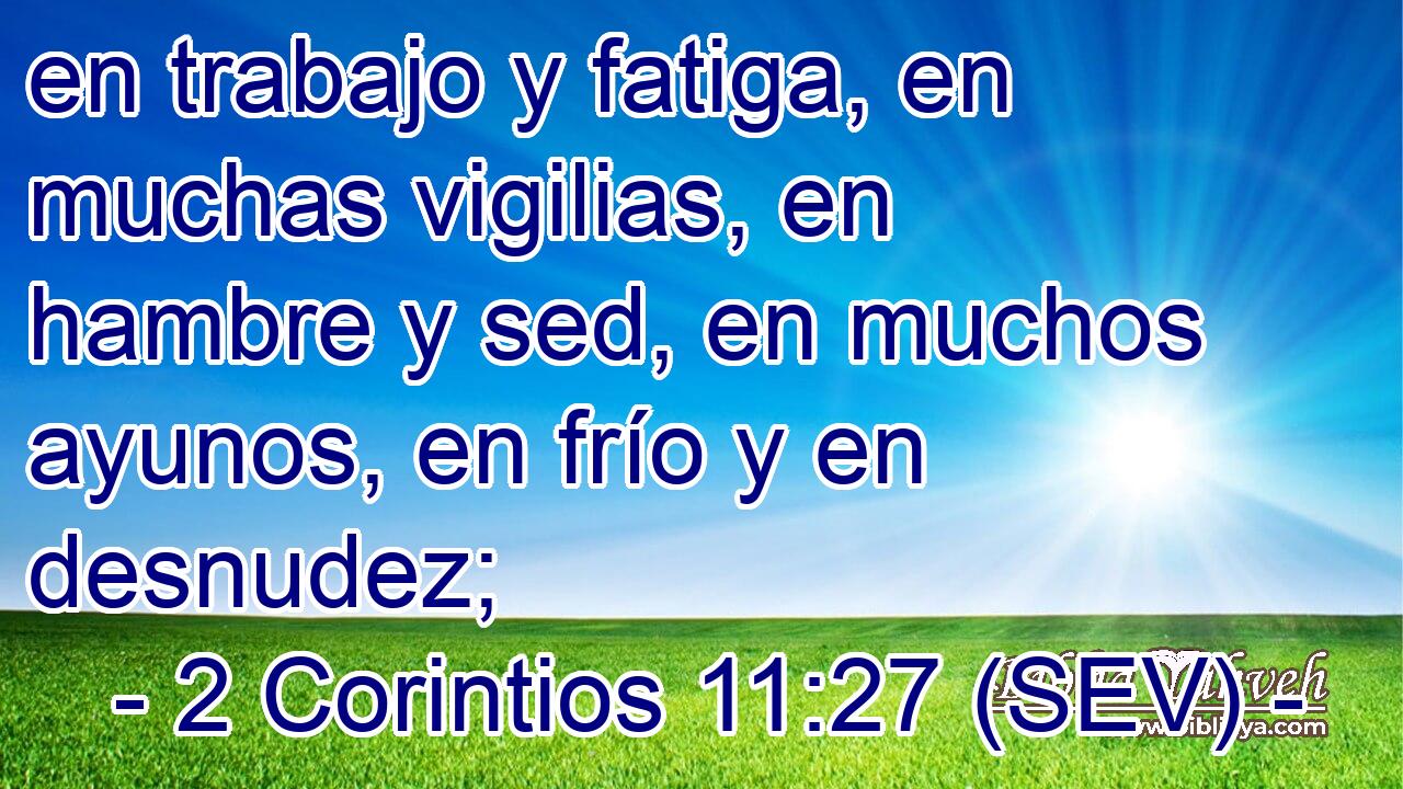 en trabajo y fatiga, en muchas vigilias, en hambre y sed, en muchos ayunos, en frío y en desnudez;