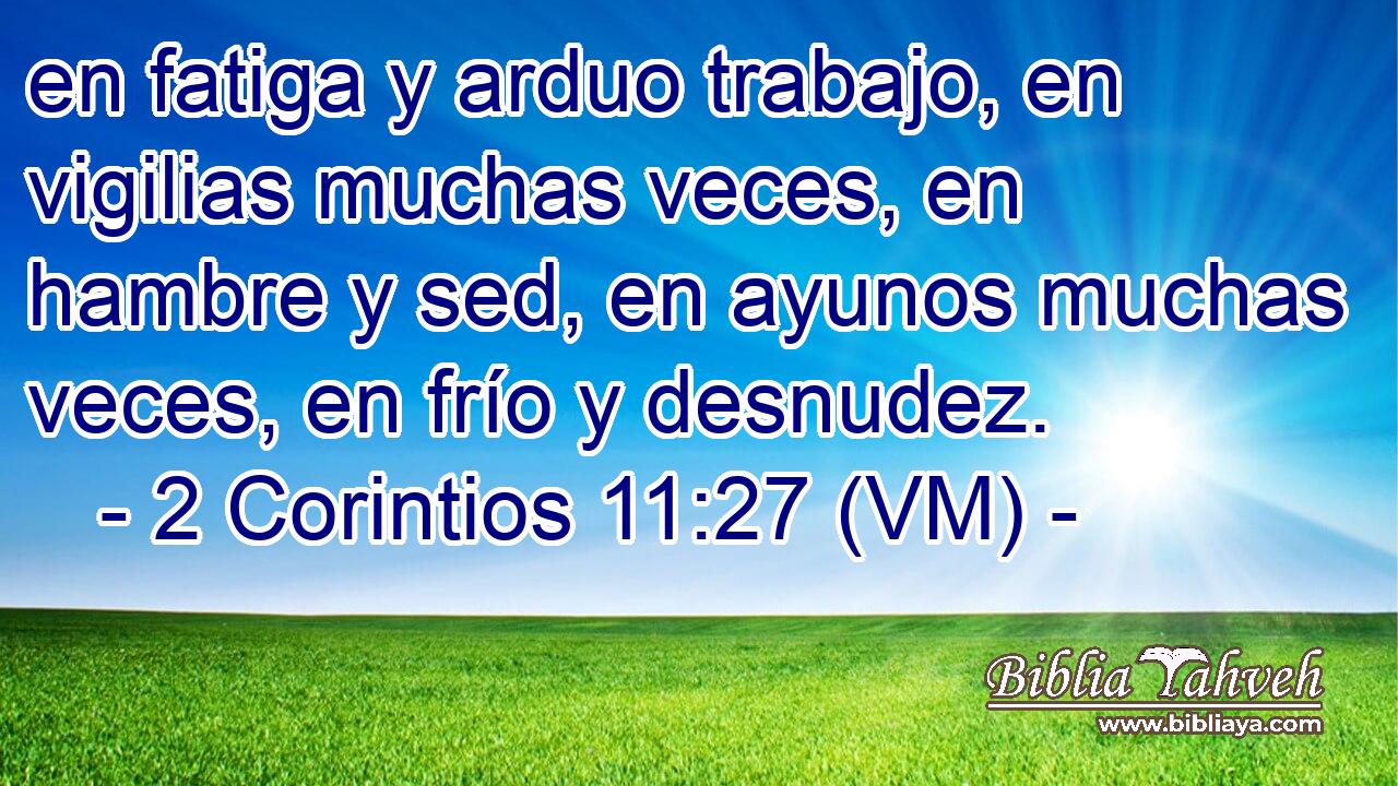  en fatiga y arduo trabajo, en vigilias muchas veces, en hambre y sed, en ayunos muchas veces, en frío y desnudez. 