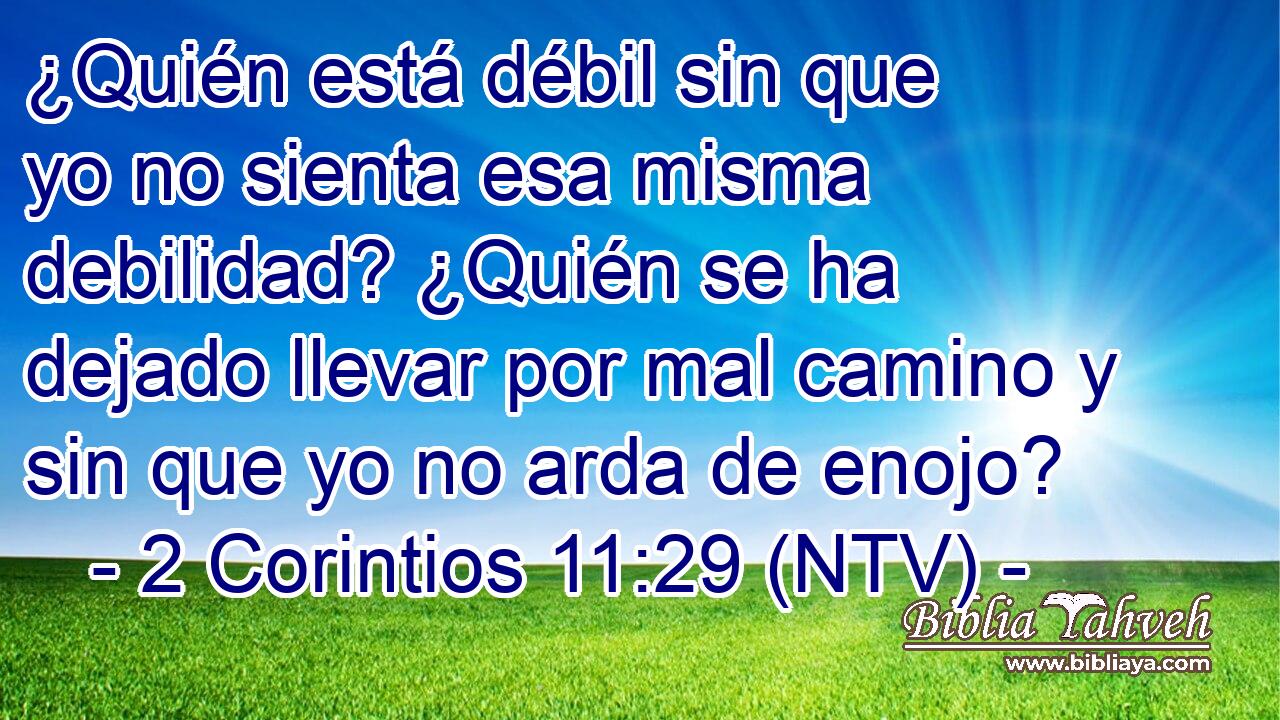 ¿Quién está débil sin que yo no sienta esa misma debilidad? ¿Quién se ha dejado llevar por mal camino y sin que yo no arda de enojo?